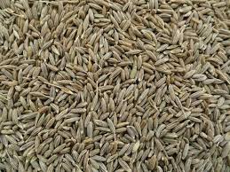 White Cumin (سفید زیرہ)