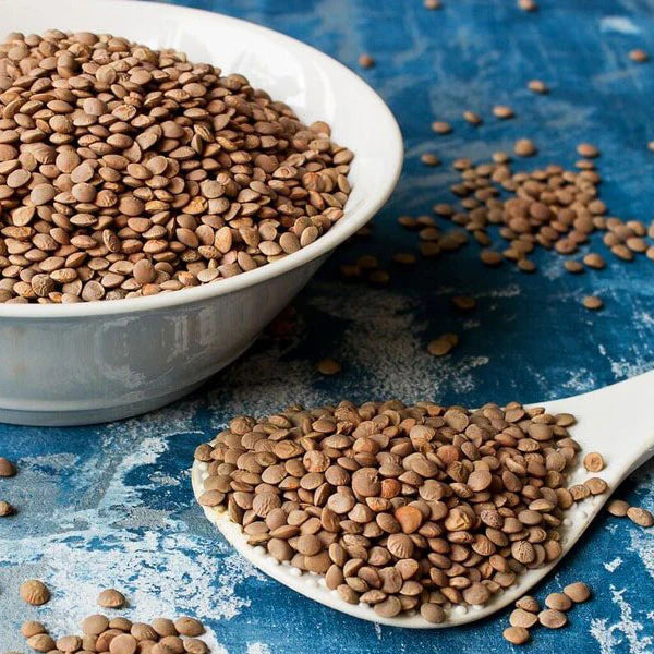 Brown Lentils (ثابت مسور)