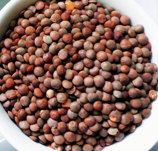 Brown Lentils (ثابت مسور)