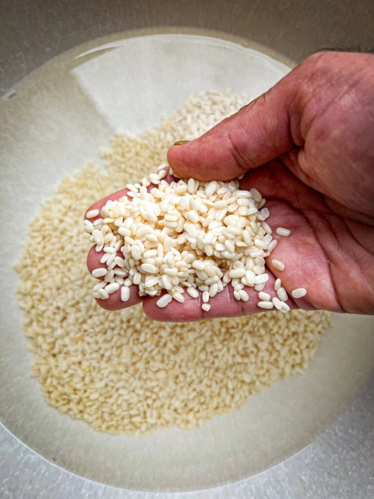 Black Lentils (ماش کی دال)