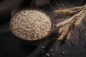 Barley Porridge (جو کا دلیہ)